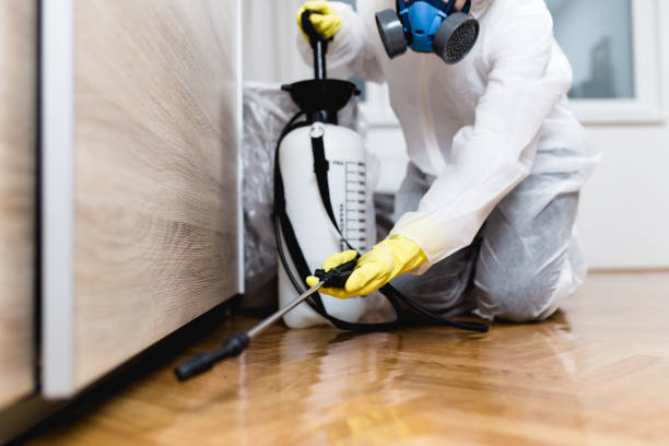 Best Cockroach Control Services  in Ashford, AL