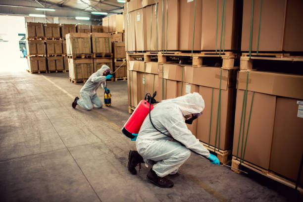 Best Flea Control Services  in Ashford, AL