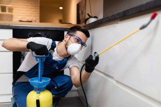 Best Wasp Removal Services  in Ashford, AL