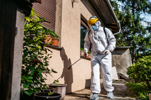 Best Bed Bug Extermination  in Ashford, AL