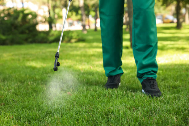 Best Pest Removal Services  in Ashford, AL