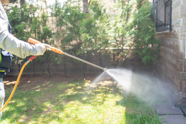 Best Best Pest Control Companies  in Ashford, AL