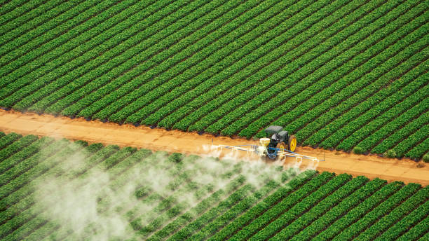 Best Pest Prevention Services  in Ashford, AL