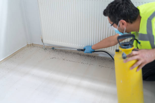Professional Pest Control in Ashford, AL